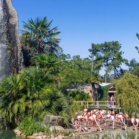 Lovely Home In Les Mathes With Wifi Vakantiehuis